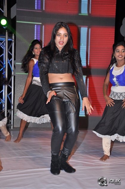 Seethamma-Andaalu-Raamayya-Sithraalu-Movie-Audio-Launch